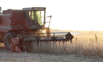 Trump-China Trade War: 25 Million Tonnes Of US Soybeans To Go Unsold