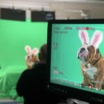 Henri the Bulldog beats PA Contestants for Cadbury Bunny