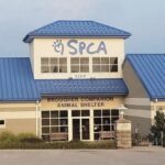 York SPCA Hosting Adoption Event.