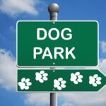 Canine Meadows Park to Reopen Friday