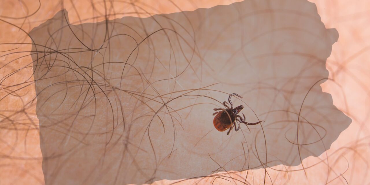 Are You Ready for Pennsylvania’s Tick Explosion?