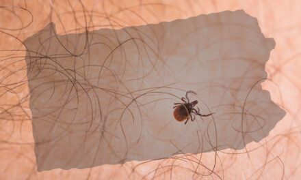 Are You Ready for Pennsylvania’s Tick Explosion?