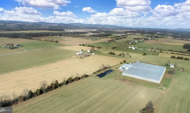 State-of-the-Art Hemp Farm for Sale